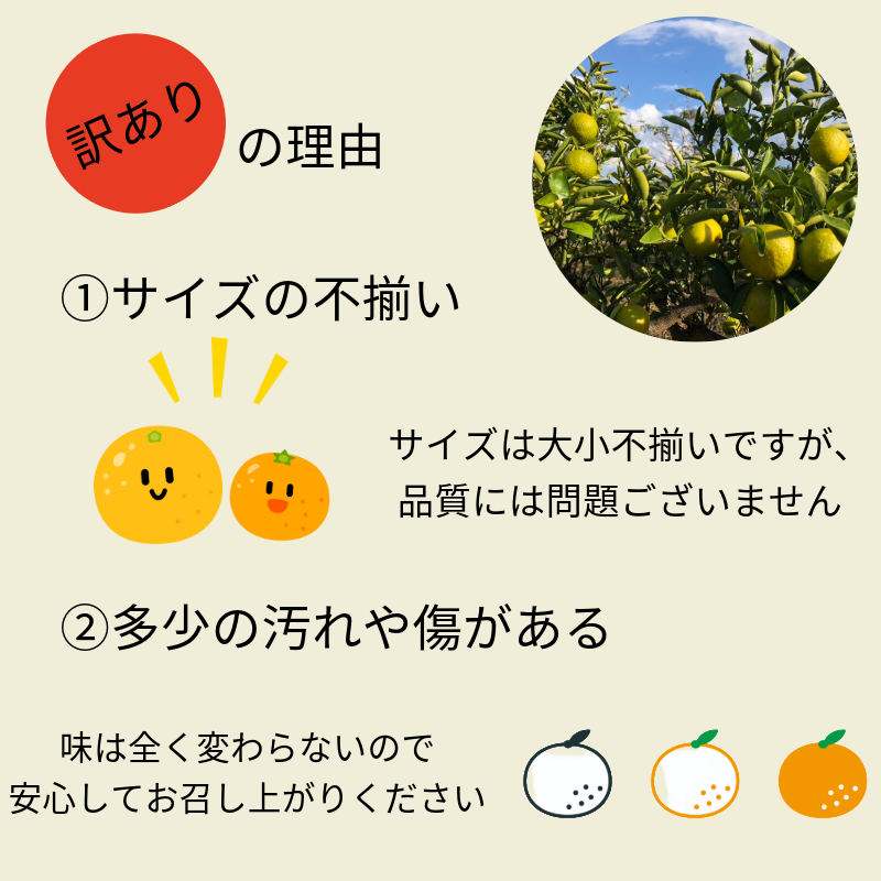 訳あり ゆこう 2kg 柑橘 徳島 みかん 柚子 すだち 酢 お酢 果汁 お酒 焼き魚 さっぱり オーガニック ふるさと納税 人気 