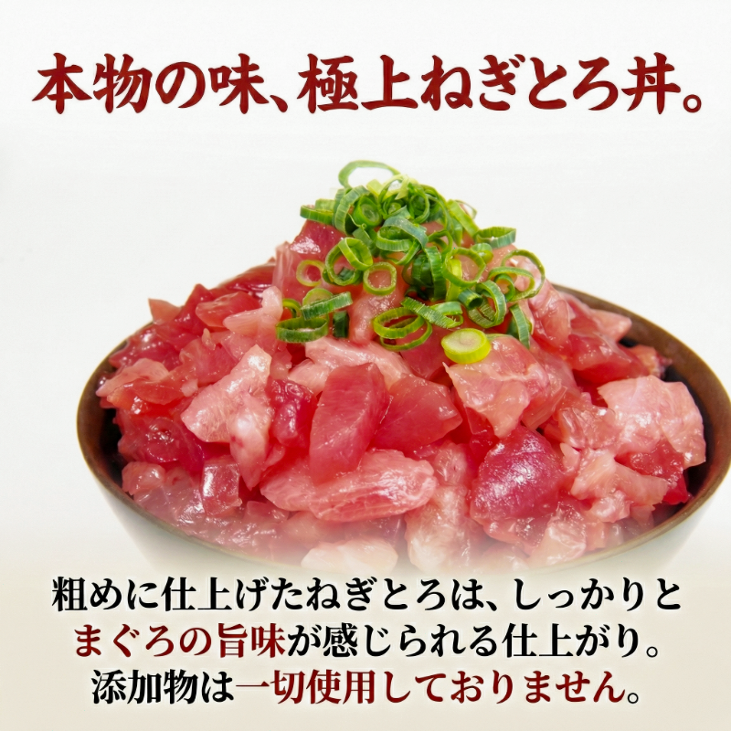 天然本まぐろセット 1kg(100g×10P） マグロ 本まぐろ 中とろ ネギトロ 赤身 天然 鮪 小分け 冷凍 刺身 漬け 晩酌 寿司 ユッケ マグロ丼 ねぎとろ 海鮮