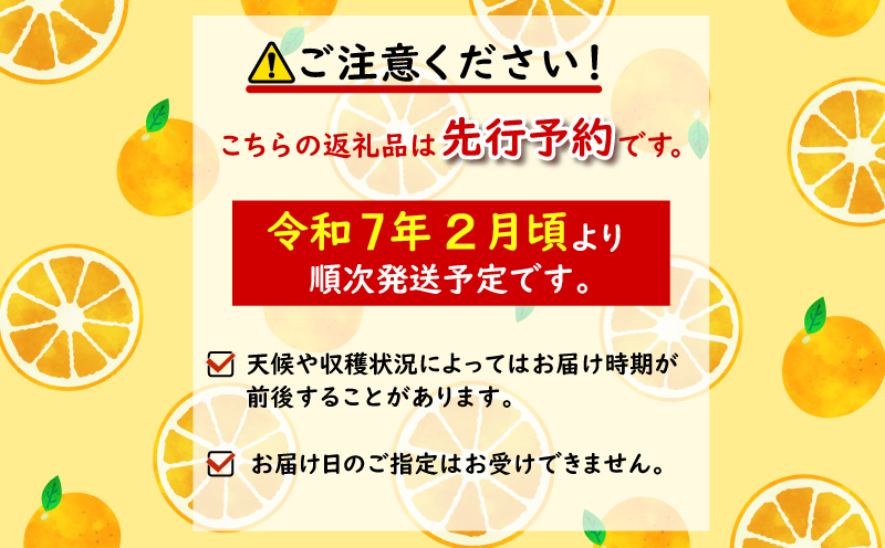 【先行予約】2025年2月発送 熟成 みかん 10kg 秀品 M~L 国産 徳島県 勝浦産 貯蔵 果物 フルーツ 柑橘 みかん 蜜柑 温州 人気 産地直送 数量限定 【北海道・東北・沖縄・離島配送不可】