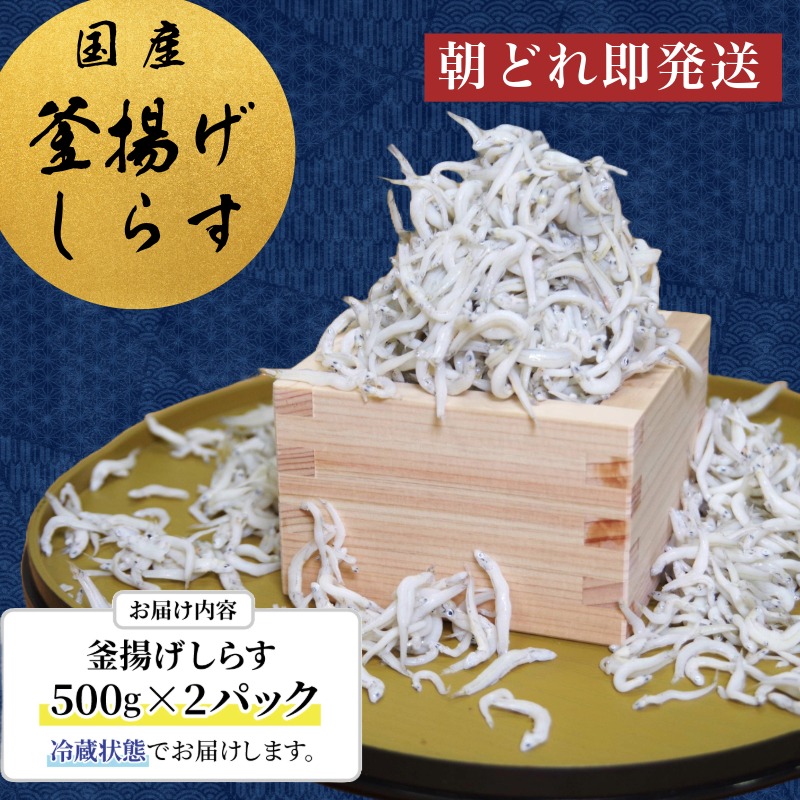 しらす 水揚げ当日ゆでたてを発送！ 冷蔵  1kg（500g×2パック） 瀬戸内海 四国 徳島 小松島  ｜ 水揚げ 釜揚げ 当日発送 ｜ 太平洋 瀬戸内海 結ぶ 紀伊水道 鳴門 海域 ｜ しらす丼 魚介 シーフード 特産品 海産物 新鮮 惣菜  国産 鮮度 ふるさと納税 採れたて 安全 安心 カルシウム 小分け | 新米 白米 玄米 卵ご飯 【北海道･沖縄･東北･離島への配送不可】 