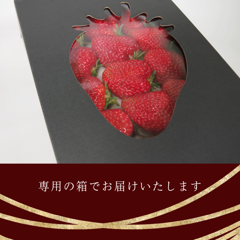 いちご 紅ほっぺ  贈答用 大粒 12粒入り 約600g (1粒 約50g × 12粒 ) 冷蔵 【先行予約】 【2025年1月より順次発送】 朝採れ 苺 春 旬 四国 徳島 小松島 期間限定 産地直送 フレッシュ イチゴ フルーツ 果物 国産 ふるさと人気 限定出荷 いちご 苺 イチゴ ブランド 大粒 苺 旬 産地 直送 フレッシュ イチゴ フルーツ 果物 国産 ベリー  人気苺 ふるさと納税苺