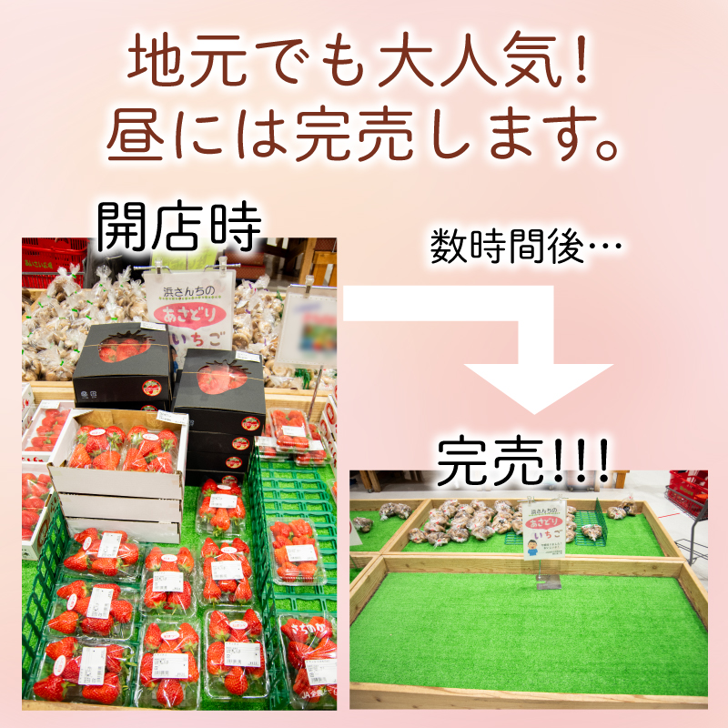 【訳あり】 いちご 紅ほっぺ 大粒 560g以上 ( 約280g × 2パック ) 2週間発送 苺 ストロベリー べにほっぺ 果物 フルーツ ベリー デザート スイーツ おやつ ケーキ ゼリー ジュース ジャム アイス シャーベット スムージー ヨーグルト クレープ タルト チョコ 大福 フルーツサンド ギフト プレゼント 朝摘み 贈答 お取り寄せ グルメ 冷蔵 送料無料 徳島 小松島 