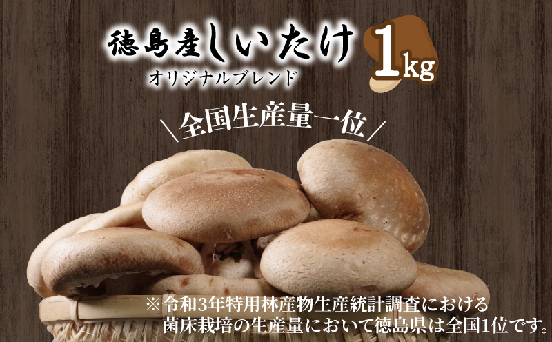 しいたけ 1kg 冷蔵 椎茸 しいたけ きのこ 肉厚 濃厚 家庭用 おかず