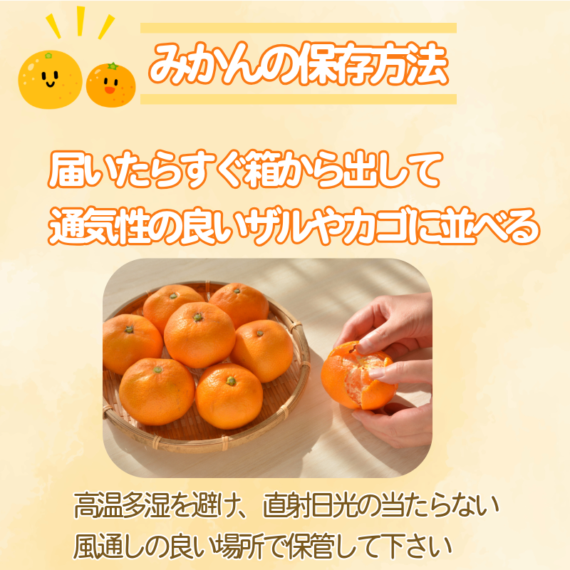 温州みかんと柑橘おまけセット 10kg 2025年10月順次発送 みかん ミカン 蜜柑 甘い フルーツ 柑橘 ジュース ゆず レモン 小松島市