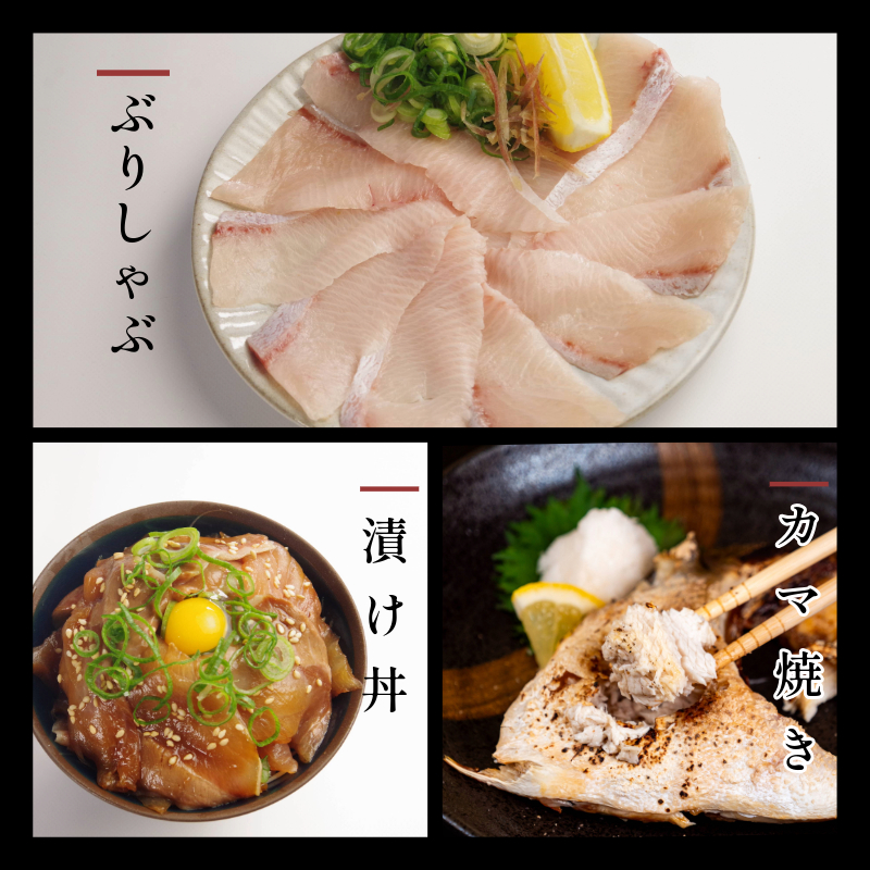 ぶり 切り落とし ブリカマ2Pセット 計1Kg 徳島ブランド すだち 鰤 ブリ 刺身 ぶりしゃぶ 丼 ブリカマ 焼き魚 スダチ 海産物 冷凍 徳島 小松島市