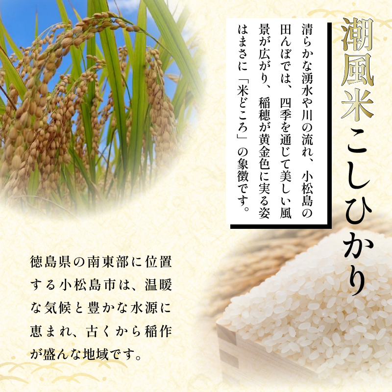 こしひかり 5kg 白米 令和7年産 潮風米 ご飯 おにぎり ごはん お弁当 ギフト 贈答 プレゼント お取り寄せ グルメ 保存 防災 備蓄 送料無料 徳島 小松島