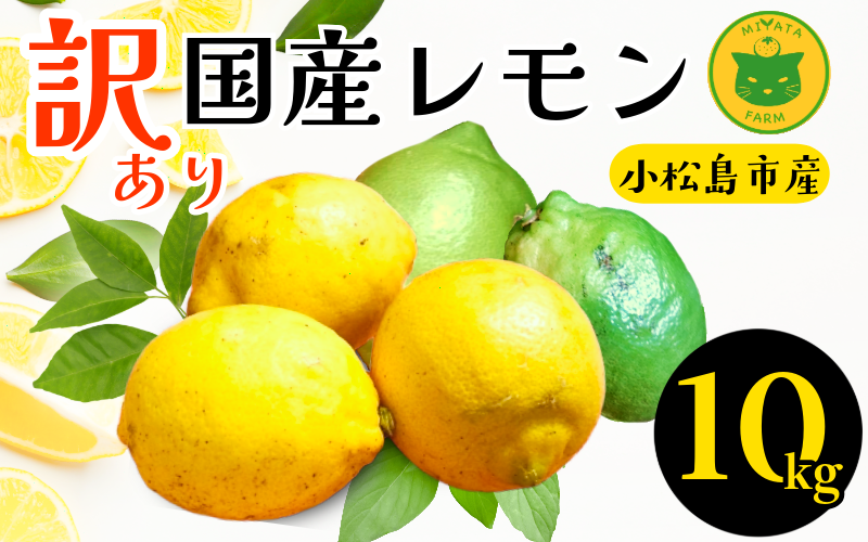 【2026年10月発送】レモン 10kg 訳あり  国産 レモン 檸檬 れもん ワックス不使用 防腐剤不使用 柑橘 果汁 フルーツ 果実 徳島 小松島市