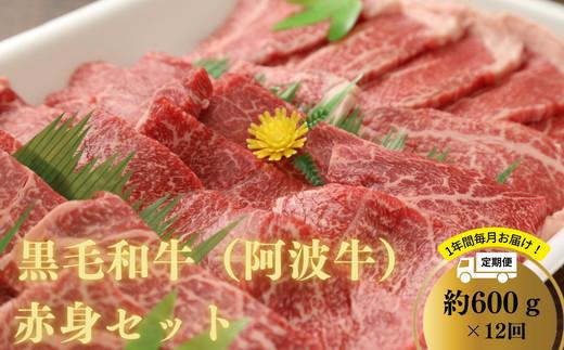 定期便 肉 12回 阿波牛 赤身 600g 国産 黒毛和牛 最高クラス 12ヶ月 1年 冷凍　※配達指定不可