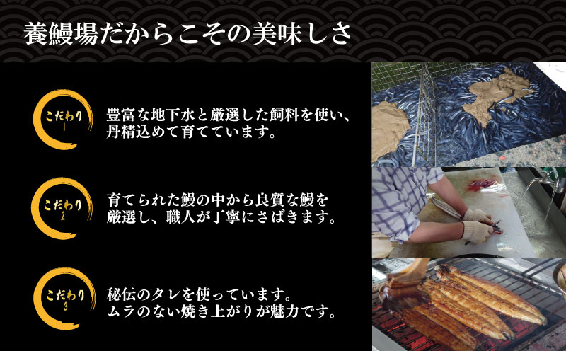 うなぎ 鰻 ウナギ 国産 蒲焼き 2尾（約320g）冷蔵 特上 タレ付き かば焼 蒲焼 鰻蒲焼き 鰻蒲焼 養殖鰻 養殖うなぎ うな重 うな丼 ひつまぶし タレ セット 魚 魚介 惣菜 ギフト 贈り物 贈答 土用の丑 土用 丑の日 和食 日本料理 徳島県