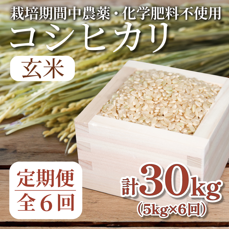 【定期便6回】 玄米 コシヒカリ  計30kg 5kg×6回 定期便 栽培期間中無農薬 ｜ 徳島県 ふるさと納税 新生活 四国 徳島 小松島 新生活 おいしい お米 米 こめ おこめ 国産 限定 ごはん ご飯 ゴハン ふるさと ランキング 人気 安全 安心 栄養 おすすめ 送料無料 国産 TKG 卵かけご飯 おにぎり おむすび いのち育む田んぼ米 生物多様性 ｜北海道･東北･沖縄･離島への配送不可