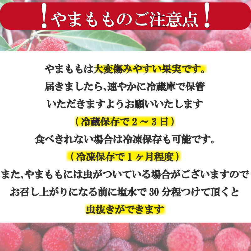 ãå
è¡äºçŽãããŸãã 400g 2026幎6æäžæ¬ããé æ¬¡çºé å°åã ãã㯠å£ç¯ ãã«ãŒã ã¬ã¢ ããªãŒ å±±æ¡ å¥åº· ãžã£ã æå®é
ãã〠ãèå ã¹ã ãŒãžãŒ å°æŸå³¶åž åœç£