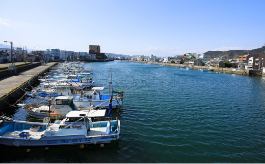 鱧 500g 冷凍 鍋 しゃぶしゃぶ  産地直送 魚介 魚 切り身 鮮度抜群 家庭 贈答 ギフト プレゼント