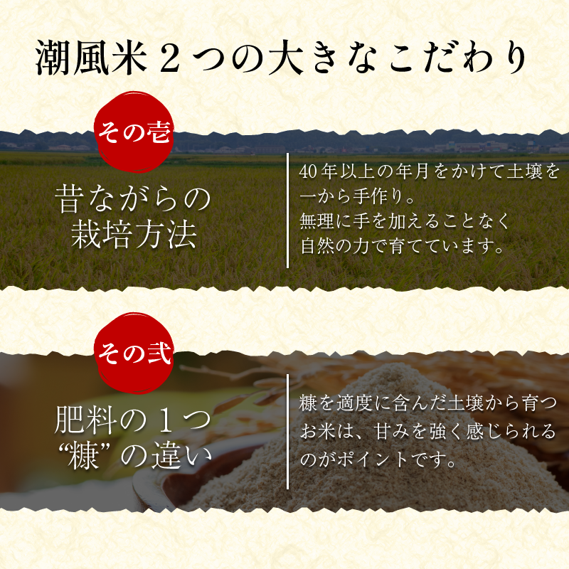 こしひかり 5kg 白米 令和7年産 潮風米 ご飯 おにぎり ごはん お弁当 ギフト 贈答 プレゼント お取り寄せ グルメ 保存 防災 備蓄 送料無料 徳島 小松島