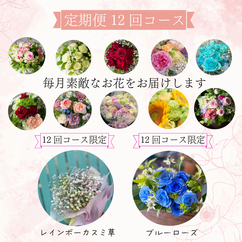 定期便 12回 ブーケ フラワーアレンジメント 手作りカード付き ギフト 花 クリスマス 母の日 父の日 敬老の日 ※北海道・東北・沖縄を含む離島への配送不可