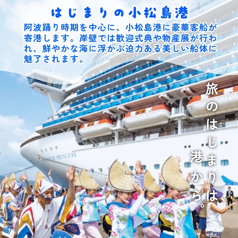  ハラミ 国産 冷凍 黒毛和牛 500g 特選 黒毛和牛 牛肉 焼肉 焼き肉 精肉 希少部位 BBQ はらみ 塩 味