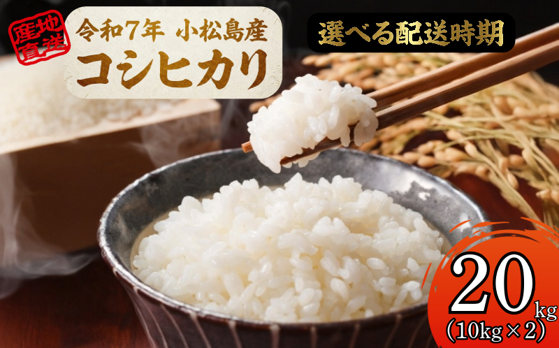 【配送時期が選べる】米 コシヒカリ 20kg 小松島市 令和7年産 精米 白米 お米