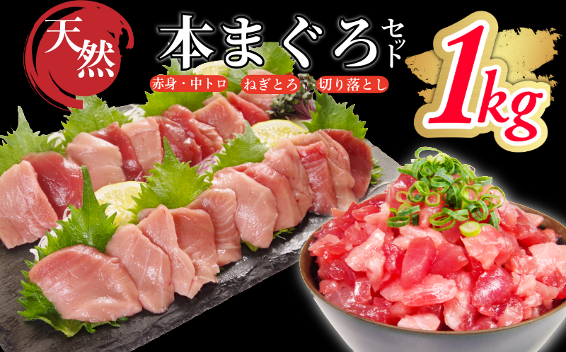 天然本まぐろセット 1kg(100g×10P） マグロ 本まぐろ 中とろ ネギトロ 赤身 天然 鮪 小分け 冷凍 刺身 漬け 晩酌 寿司 ユッケ マグロ丼 ねぎとろ 海鮮