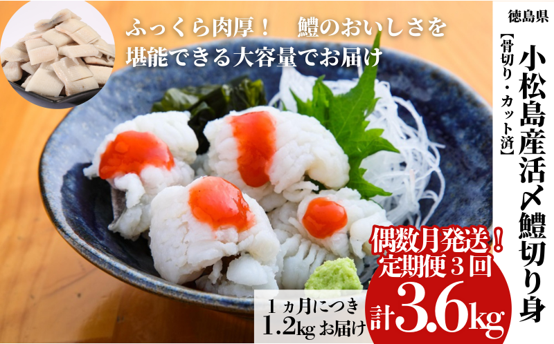 定期便 偶数月 3回 鱧 ハモ 切り身 計 3.6kg 1.2kg × 3ヵ月 冷凍 国産 魚介 天ぷら ※北海道・沖縄・離島への配送不可 ※配達指定不可