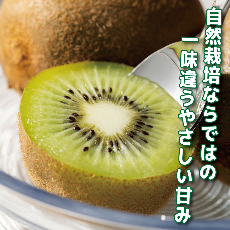 キウイ フルーツ 2.5kg キウイ 国産 フルーツ 果物 自然栽培 無農薬 ヨーグルト ジュース サラダ ビタミン 食物繊維 ダイエット 減量 美容 健康志向 お取り寄せ みその農園 徳島県 小松島市