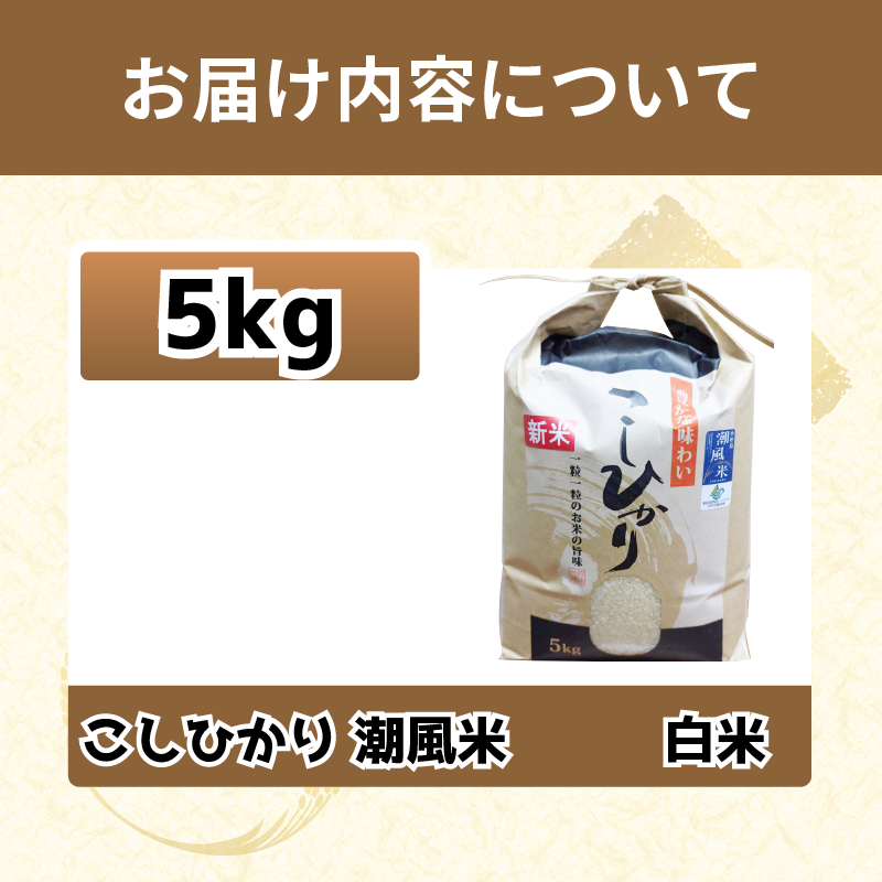 こしひかり 5kg 白米 令和7年産 潮風米 ご飯 おにぎり ごはん お弁当 ギフト 贈答 プレゼント お取り寄せ グルメ 保存 防災 備蓄 送料無料 徳島 小松島
