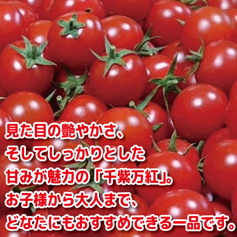 ã2026幎3æçºéã ããããã 1kg å玫äžçŽ
å
è¡äºçŽ æ°Žèæ œå¹ çœãã çã éè ããã åœç£ ç£å°çŽé æ°ééå® æ¬ ãã¬ãã·ã¥ããã çéè æ°é®® ãœãŒã¹ èª¿å³æ ã±ãã£ãã ãµã©ã çŸå®¹ æ°é®® å¥åº· ãåãå¯ã ã°ã«ã¡ ãããã äººæ° 1äžåä»¥äž 10000åä»¥äž åŸ³å³¶ç å°æŸå³¶åž