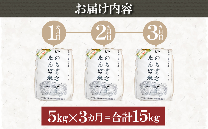 ふるさと納税 徳島県 小松島市 定期便 3回 令和5年産 新米 2kg× 3袋