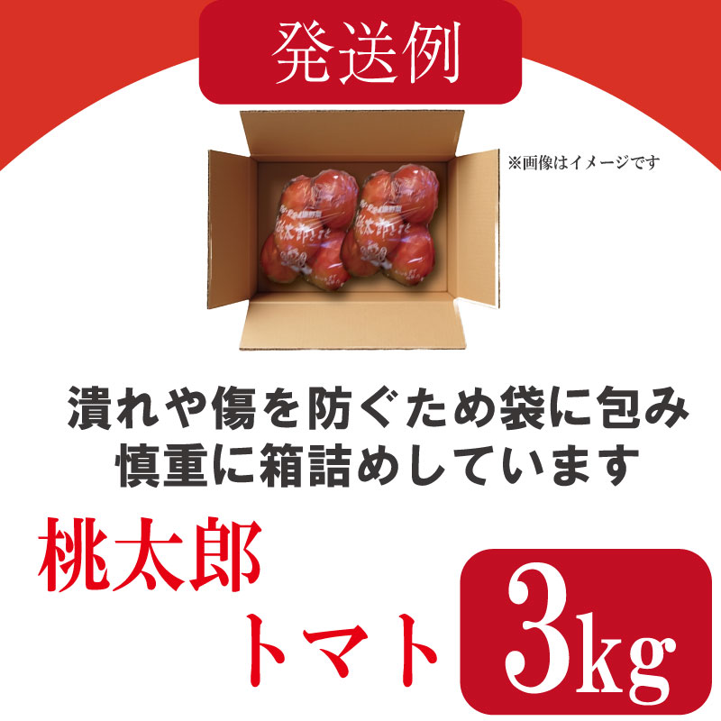 【訳あり】 【2027年3月発送】 トマト 3kg 桃太郎 先行予約  甘い 野菜 やさい 国産 産地直送 数量限定 旬 桃太郎トマト 生野菜 新鮮 ソース 調味料 ケチャップ サラダ 美容 新鮮 健康 お取り寄せ グルメ おすすめ 人気 徳島県 小松島市