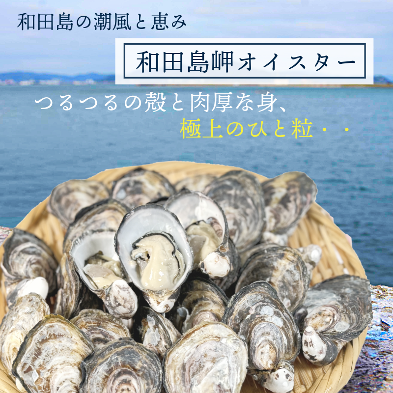 牡蠣 かき カキ 生ガキ 12個 計480g～600g 生食用 殻付きかき 数量限定 オイスター 貝柱 殻付牡蠣 生牡蠣 蒸し焼き 焼き牡蠣 カンカン焼き 加熱用牡蠣 海鮮 海の幸 魚介類 魚貝類 殻付き牡蠣 カキフライ 蒸しガキ キャンプ アウトドア 焼くだけ牡蠣 簡単調理 オイスターナイフ付き 和田島岬オイスター