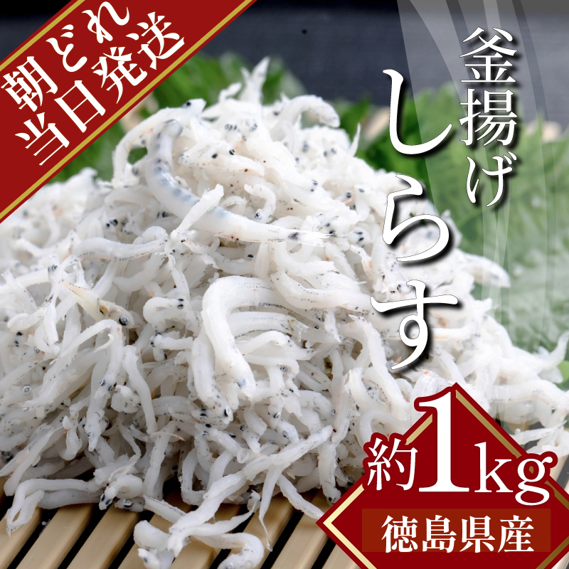 しらす 水揚げ当日ゆでたてを発送！ 冷蔵  1kg（500g×2パック） 瀬戸内海 四国 徳島 小松島  ｜ 水揚げ 釜揚げ 当日発送 ｜ 太平洋 瀬戸内海 結ぶ 紀伊水道 鳴門 海域 ｜ しらす丼 魚介 シーフード 特産品 海産物 新鮮 惣菜  国産 鮮度 ふるさと納税 採れたて 安全 安心 カルシウム 小分け | 新米 白米 玄米 卵ご飯 【北海道･沖縄･東北･離島への配送不可】 