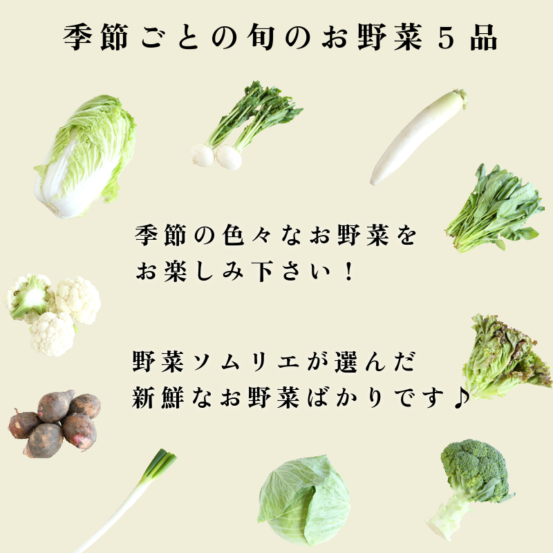 訳あり 季節のお野菜5品と小松島特産品セット 季節 旬 野菜 詰め合せ 国産 季節 旬 おまかせ 産地直送 春野菜 夏野菜 秋野菜 きのこ 葉物 果物 果菜 根菜 冷蔵 野菜室 ダイエット 食 栄養食 加工品 カット野菜 小松島産 季節限定