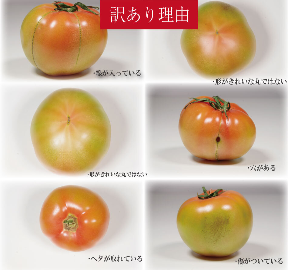 【訳あり】 【2027年4月発送】 トマト 2kg 桃太郎 先行予約  甘い 野菜 やさい 国産 産地直送 数量限定 旬 桃太郎トマト 生野菜 新鮮 ソース 調味料 ケチャップ サラダ 美容 新鮮 健康 お取り寄せ グルメ おすすめ 人気 徳島県 小松島市