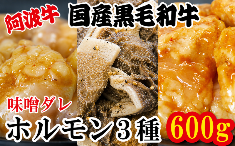 ホルモン 小腸 大腸 センマイ 3種セット 阿波牛 200g×3パック 計600g 冷凍 小分け 味噌 タレ 味噌ダレ 味噌漬け 焼肉 国産 牛 肉 黒毛和牛 和牛 BBQ バーベキュー 脂 シマチョウ ホソ もつ 牛肉 焼き やきにく ビール 酒 米 ご飯 と一緒に おつまみ おすすめ 徳島県 小松島市