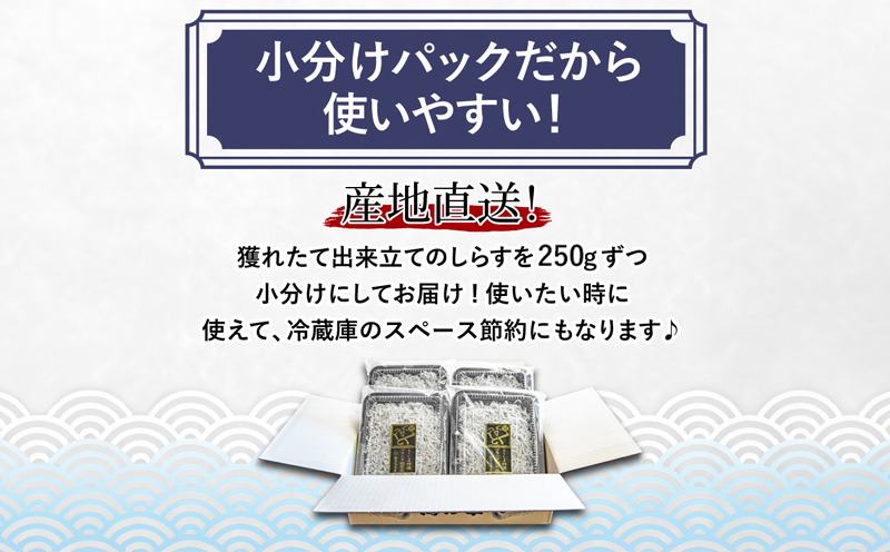 釜揚げ しらす 1kg 国産 徳島県産 和田島産 とれたて 新鮮 産地直送 冷蔵 発送 小分け 250g 4袋 セット 和田島しらす ちりめん 魚介類 魚 小魚