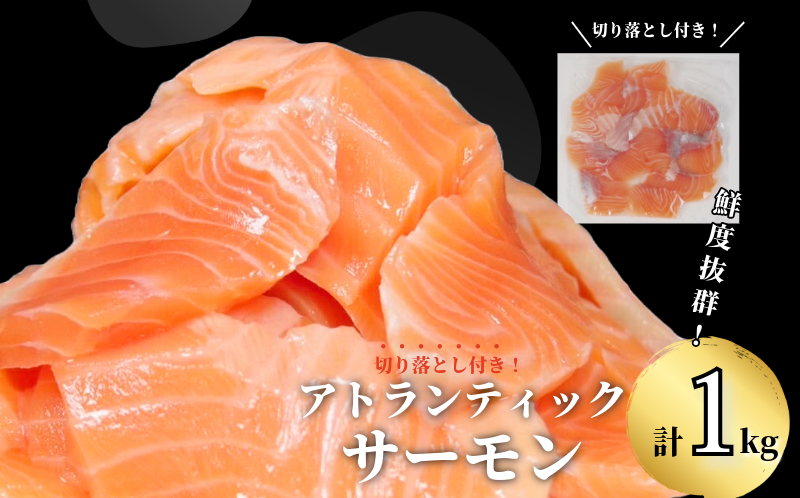 アトランティックサーモン 計1kg（切り落とし付き） 冷凍  鮭 刺し身 魚 人気 海鮮 生食用 刺身 お刺身 魚介類 魚介  海鮮丼 寿司 丼  カルパッチョ 海鮮サラダ ムニエル ホイル焼き【北海道･東北･沖縄･離島への配送不可】