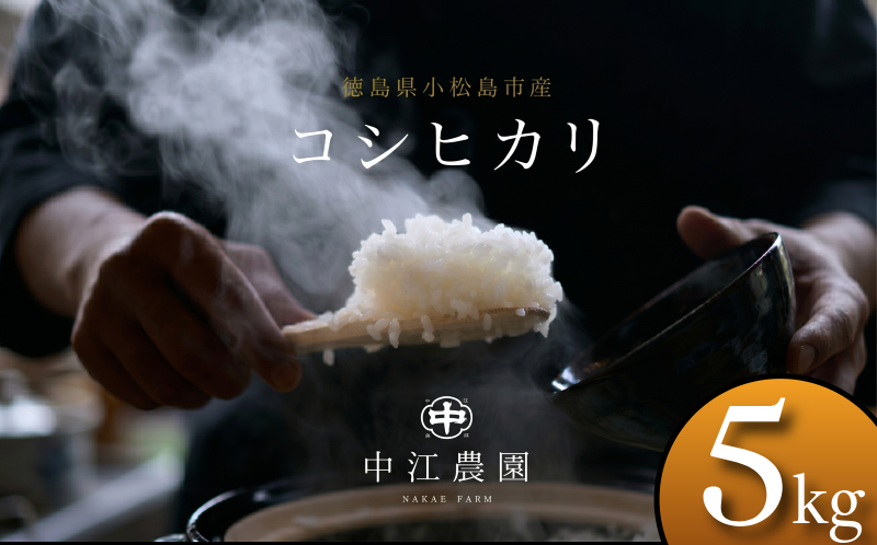令和7年産 コシヒカリ 5kg 白米 米 数量 限定 こしひかり 5キロ 米5kg ごはん こめ コメ はくまい okome kome おむすび おにぎり 国産 飯 おこめ 小松島市