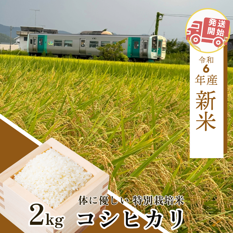 【2週間発送】令和6年産 新米 白米 コシヒカリ 2kg | 特別栽培米 健康 安心 安全 | 新米限定発送 お試し 少量 小分け | 四国 徳島 小松島 | 米 おいしい kome お米 こめ おこめ こしひかり 精米 国産 ごはん ご飯 白飯 ゴハン 人気 コスパ おすすめ TKG 卵かけご飯 おにぎり おむすび | 少ない 農薬 化学肥料 | 発送開始