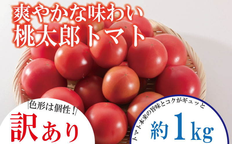 【訳あり】 【2026年1月発送】 トマト 1kg 桃太郎 先行予約  甘い 野菜 やさい 国産 産地直送 数量限定 旬 桃太郎トマト 生野菜 新鮮 ソース 調味料 ケチャップ サラダ 美容 新鮮 健康 お取り寄せ グルメ おすすめ 人気 徳島県 小松島市