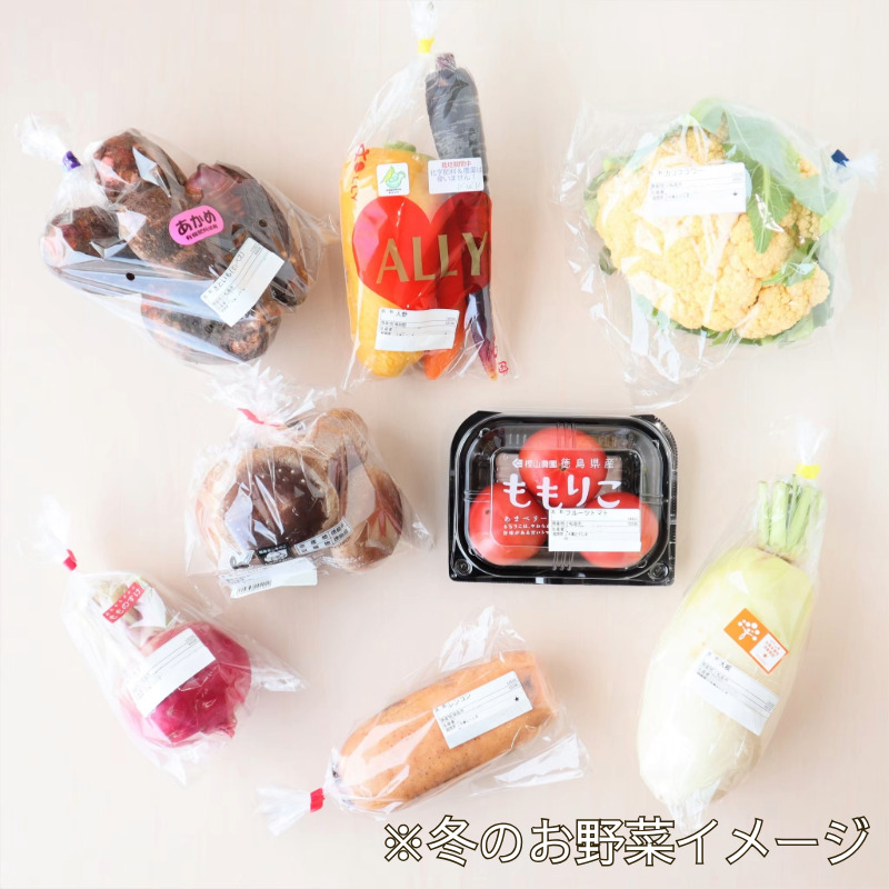 エシカル野菜5種とお米のセット 野菜 米 新鮮 採れたて 産地直送 やさい とうもろこし トマト 減農薬 きのこ オクラ 玉ねぎ 美味しい 小松島市