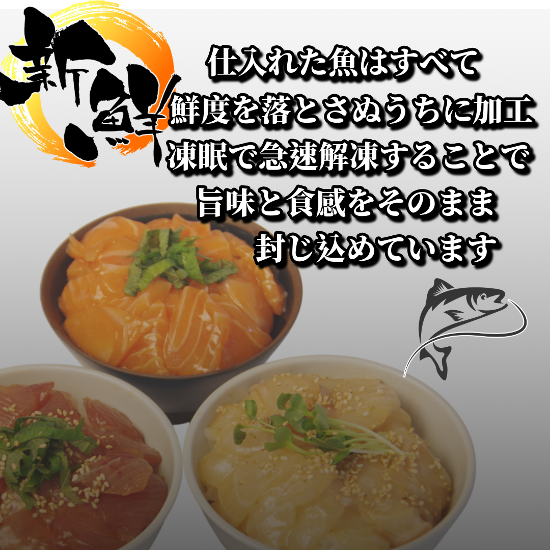 漬け丼 3種 海鮮丼 漬け丼セット まぐろ 鯛 サーモン 海鮮丼セット 6パック 小分け パック ご飯 漬け マグロ 鮪 たい 刺し身 刺身 パック ご飯 米 にあう 惣菜 晩ご飯 徳島県 小松島