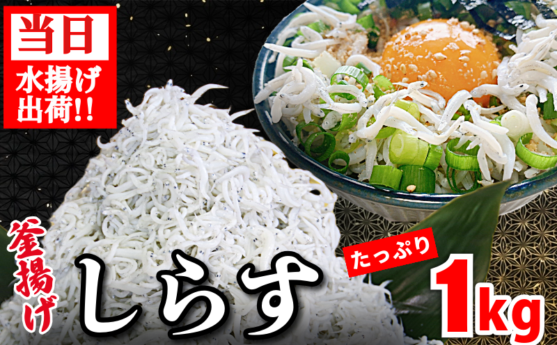 釜揚げ しらす 1kg 国産 徳島県産 和田島産 とれたて 新鮮 産地直送 冷蔵 発送 小分け 250g 4袋 セット 和田島しらす ちりめん 魚介類 魚 小魚