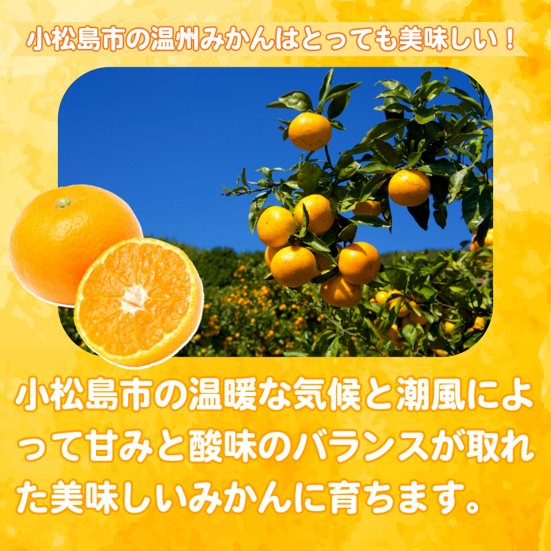 【2025年11月順次発送】 訳あり みかん 温州みかん10kg（10kg+傷み保証500g） ミカン 蜜柑 甘い フルーツ 柑橘 ジュース 小松島市 オススメ 人気 ふるさと納税 5kg 10kg