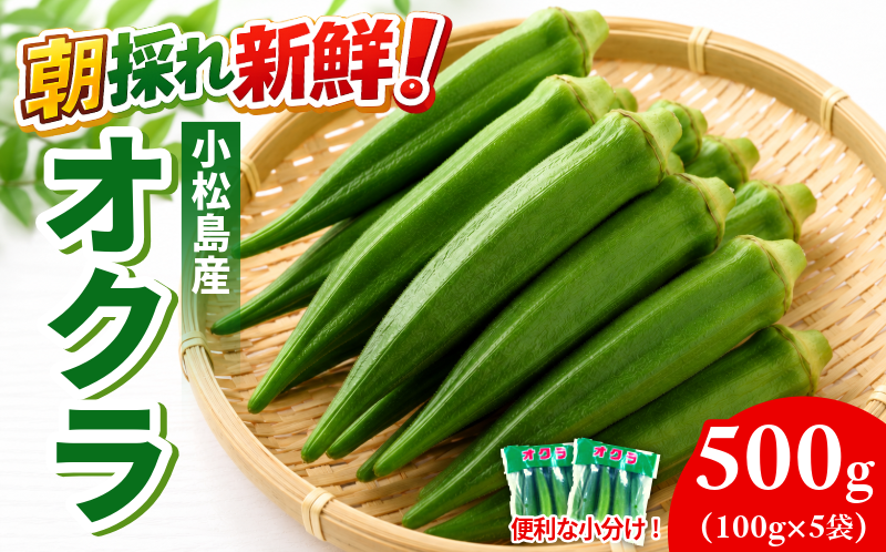 【6月下旬から発送】オクラ 500g 新鮮 朝採れ 選べる 容量 小分け おくら 朝どれ 野菜 夏 夏野菜 旬 サラダ 冷蔵 農地直送 国産 小松島市