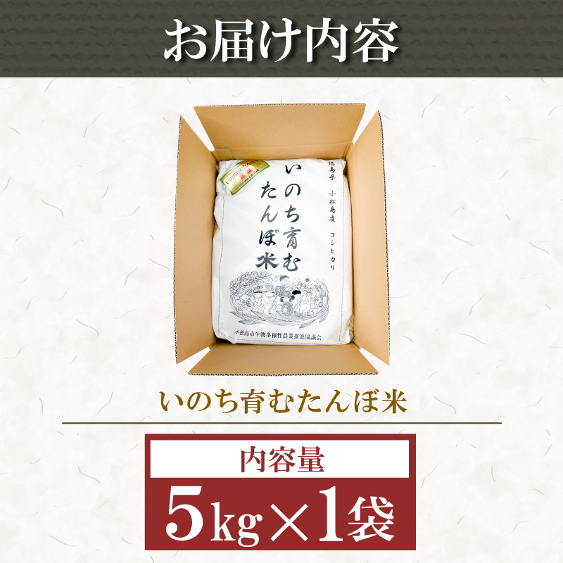 【2024年9月より順次発送】令和6年産 新米 玄米 コシヒカリ 5kg 栽培期間中無農薬 ふるさと納税 新生活 四国 徳島 小松島 新生活 おいしい お米 米 こめ おこめ 国産 ごはん ご飯 ゴハン ふるさと ランキング 人気 安全 安心 ビタミン ミネラル 栄養 おすすめ おいしい 送料無料 国産 TKG 卵かけご飯 おにぎり いのち育む田んぼ米 生物多様性 【北海道・東北・沖縄・離島への発送不可】