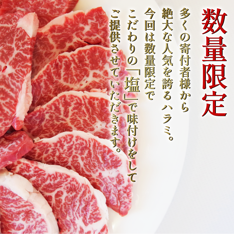 国産 牛タン ハラミ セット 計500g 塩味 牛肉 タン 薄切り ハラミ  希少部位 焼き肉 BBQ 焼肉 肉 お肉 高級 絶品 ふるさと納税 小松島市