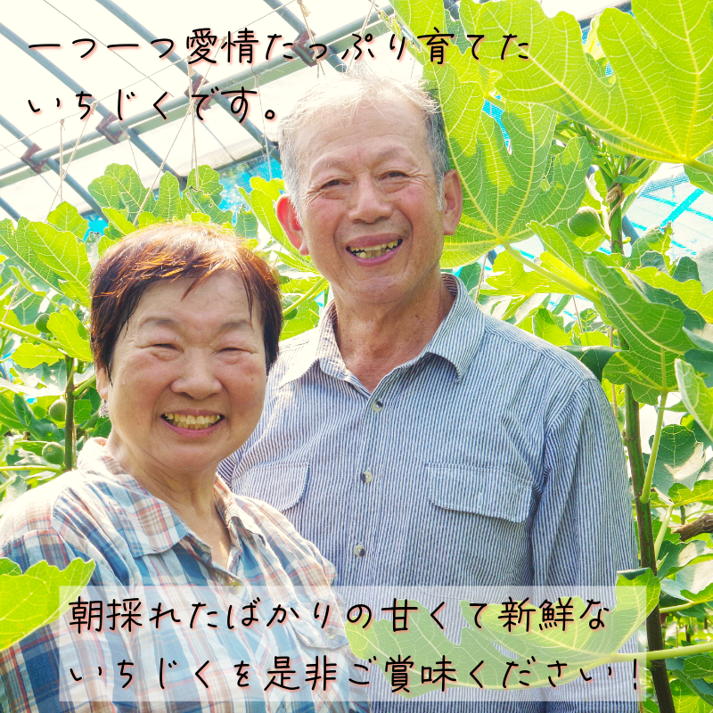 ææ¡ã å®ç ãã¡ãã 1.6kg(400gÃ4ããã¯ïŒ çã ãã«ãŒã ç£å°çŽé ãã¶ãŒã å£ç¯éå® ã±ãŒã æå® æ¬ ç¡è±æ ã³ã³ããŒã ãžã£ã å°æŸå³¶