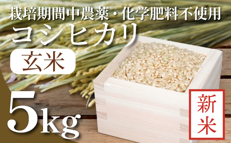 【2024年9月より順次発送】令和6年産 新米 玄米 コシヒカリ 5kg 栽培期間中無農薬 ふるさと納税 新生活 四国 徳島 小松島 新生活 おいしい お米 米 こめ おこめ 国産 ごはん ご飯 ゴハン ふるさと ランキング 人気 安全 安心 ビタミン ミネラル 栄養 おすすめ おいしい 送料無料 国産 TKG 卵かけご飯 おにぎり いのち育む田んぼ米 生物多様性 【北海道・東北・沖縄・離島への発送不可】