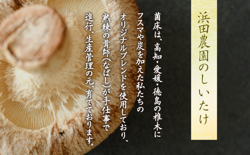 訳あり しいたけ 3kg 冷蔵 国産 徳島県 全国生産量1位 シイタケ 椎茸 生しいたけ きのこ キノコ 菌床栽培 大粒 肉厚