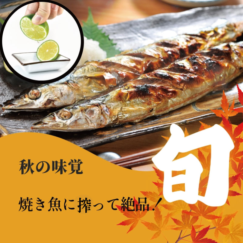 å®çæéŠ ããã 1.5kg ææ© ææ ãã ãã ã¡ ã¿ãã æå ãŠãº ãã€ã〠é
¢ ãé
¢ 寿åžé
¢ æå®é
¢ ææ± ãé
é
ããŒã« ããŒã« ä»ãåã äººæ° å¥åº· çŸå®¹ yukou