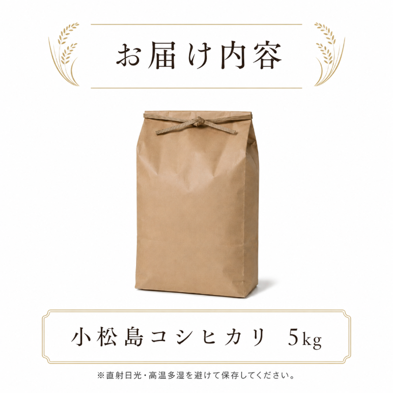 令和7年産 コシヒカリ 5kg 白米 米 数量 限定 こしひかり 5キロ 米5kg ごはん こめ コメ はくまい okome kome おむすび おにぎり 国産 飯 おこめ 小松島市