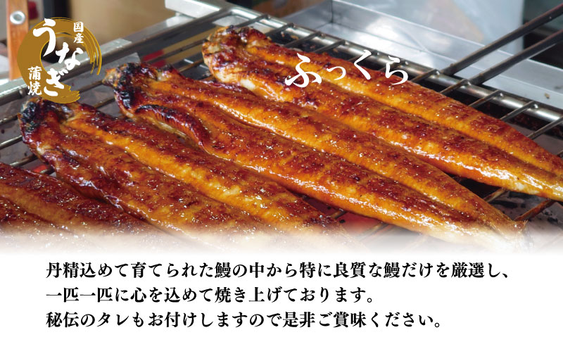 うなぎ 鰻 ウナギ 国産 蒲焼き 2尾（約320g）冷蔵 特上 タレ付き かば焼 蒲焼 鰻蒲焼き 鰻蒲焼 養殖鰻 養殖うなぎ うな重 うな丼 ひつまぶし タレ セット 魚 魚介 惣菜 ギフト 贈り物 贈答 土用の丑 土用 丑の日 和食 日本料理 徳島県